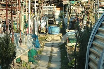 Foto di Domenico Galli