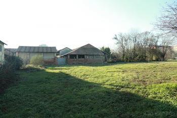 Foto di Domenico Galli