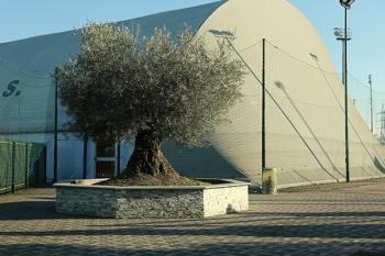 Foto di Domenico Galli