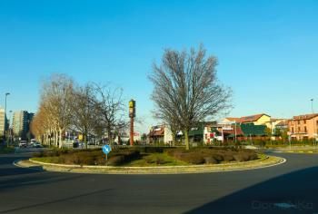 Foto di Domenico Galli