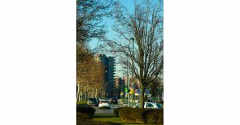 Foto di Domenico Galli