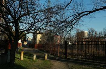 Foto di Domenico Galli