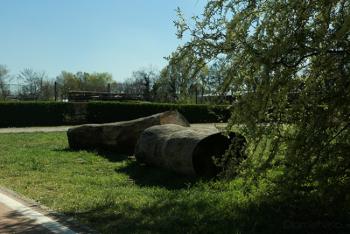 Foto di Domenico Galli