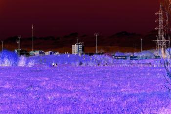 Foto di Domenico Galli