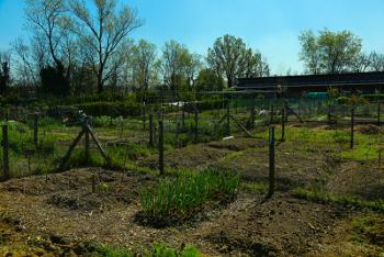 Foto di Domenico Galli