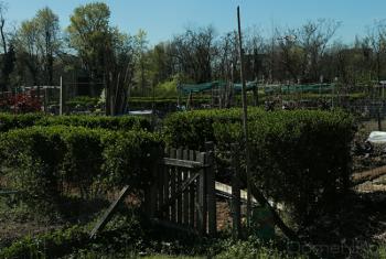 Foto di Domenico Galli