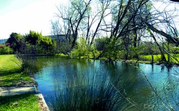 Foto di Domenico Galli