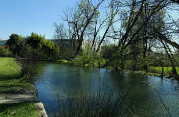 Foto di Domenico Galli