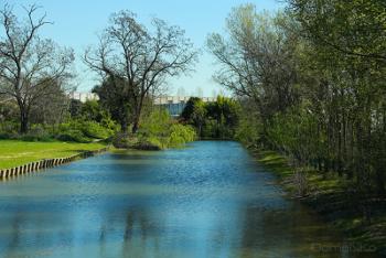 Foto di Domenico Galli