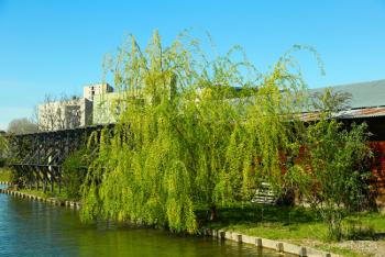 Foto di Domenico Galli