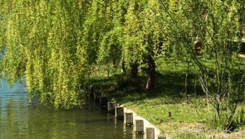 Foto di Domenico Galli