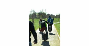 Foto di Domenico Galli