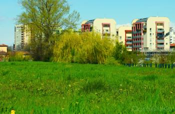 Foto di Domenico Galli