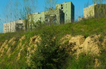 Foto di Domenico Galli