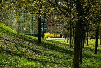 Foto di Domenico Galli