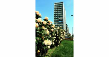 Foto di Domenico Galli