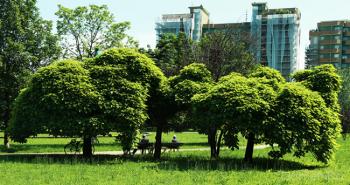 Foto di Domenico Galli