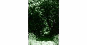 Foto di Domenico Galli