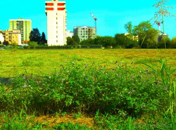 Foto di Domenico Galli
