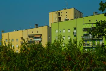 Foto di Domenico Galli