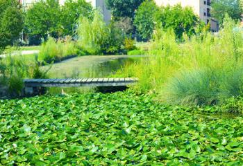 Foto di Domenico Galli