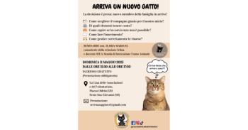Arriva-un-nuovo-gatto-11.05.25.jpg