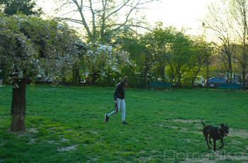 IMG_3372-copia.jpg