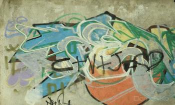IMG_9548-copia.jpg