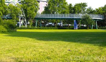 _MG_0431-copia.jpg