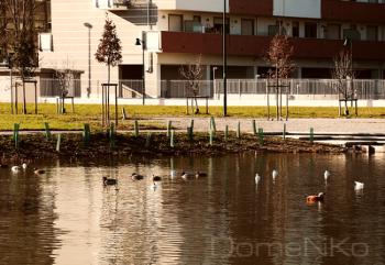 _MG_8428-copia.jpg