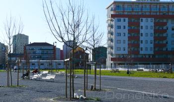 _MG_8473-copia.jpg