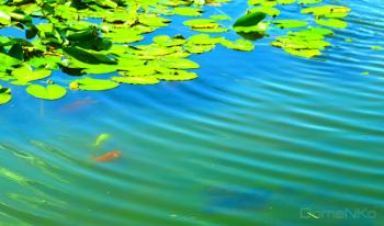 IMG_0494-copia.jpg