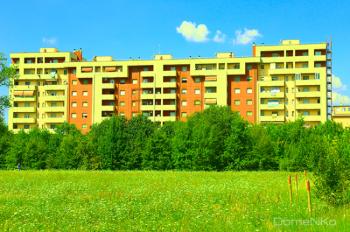 IMG_0519-copia.jpg