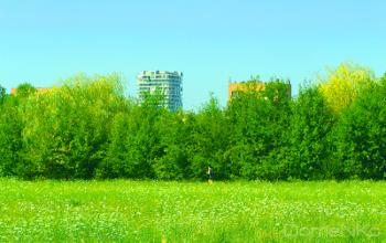 IMG_0520-copia.jpg