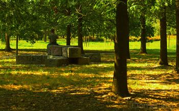 IMG_0540-copia.jpg