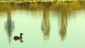 IMG_0564-copia-BRtGvK.jpg