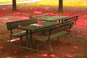 IMG_1748-copia.jpg