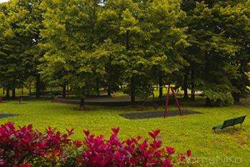 IMG_3630-copia.jpg