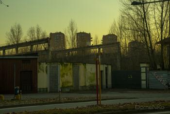 IMG_4557-copia.jpg