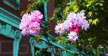 IMG_4782-copia-copia.jpg