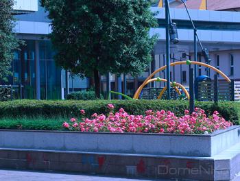 IMG_4830-copia-QudjAc.jpg