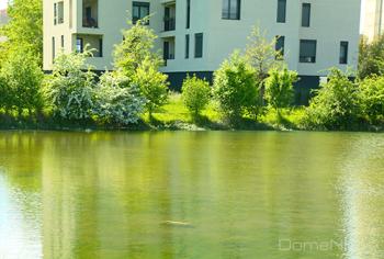 IMG_9994-copia.jpg